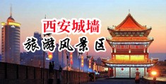 粗大挺入中国陕西-西安城墙旅游风景区